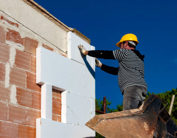Insulation Repair Services in Capron, IL