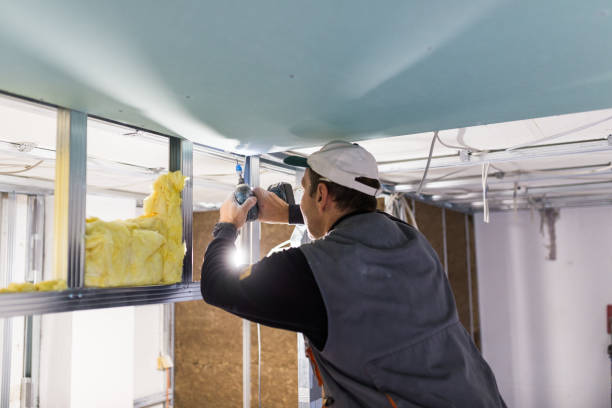 Garage Insulation Installation in Capron, IL