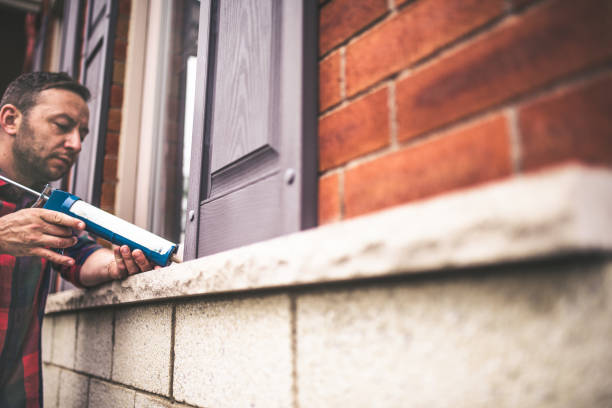 Best Insulation Replacement Services  in Capron, IL