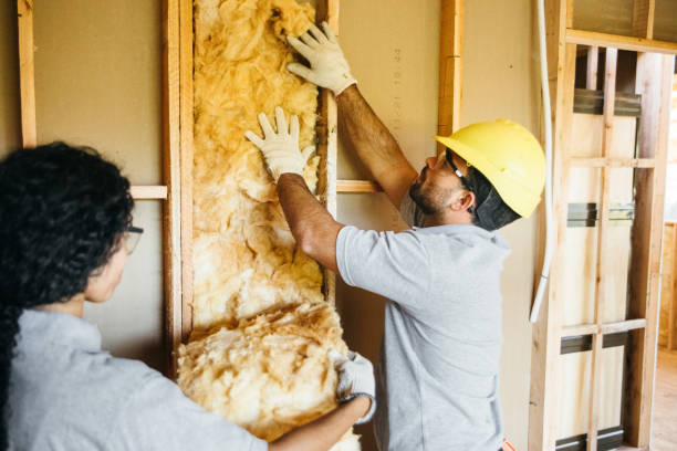 Insulation Contractors for Homes in Capron, IL