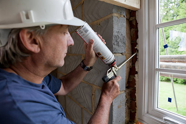 Best Blown-in Insulation  in Capron, IL