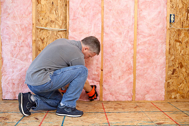 Best Crawl Space Insulation  in Capron, IL