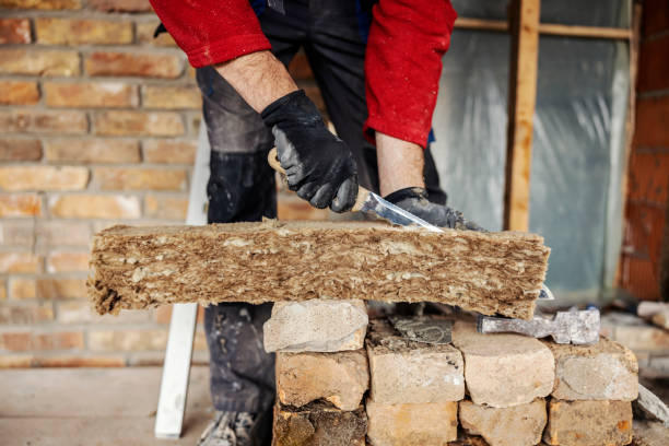 Best Garage Insulation Installation  in Capron, IL